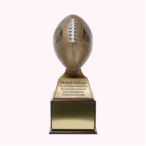 Fantasy Football Winner Trophy
