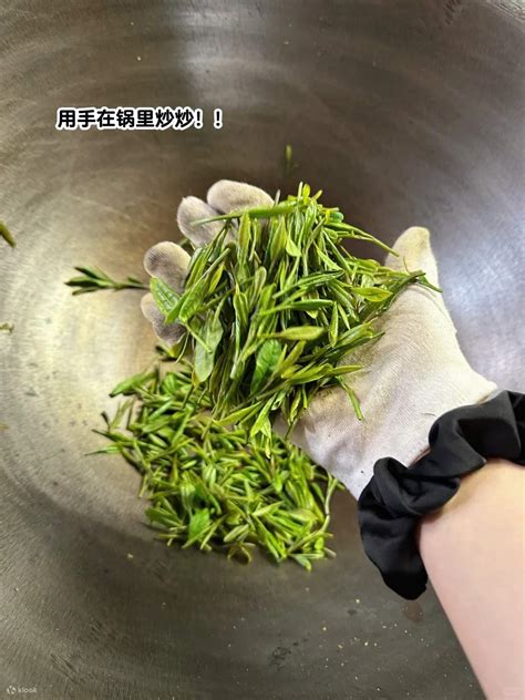 Hangzhou West Lake Cultural Village Leisure Half-Day Tour (Longjing Tea ...