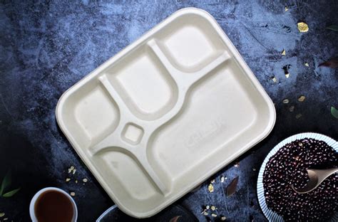 Eco-Friendly 5 Compartment Dinner Plates (100% Bio-degradable ...