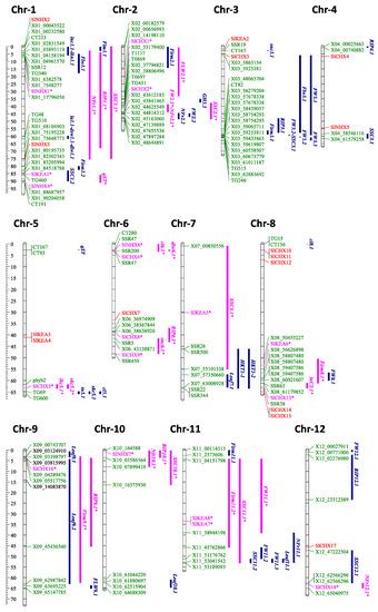 Agronomy | Special Issue : Insights from Genetic Bioinformatics of Crops