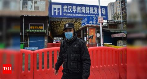 China says WHO experts to visit Wuhan in virus origins probe - Times of ...