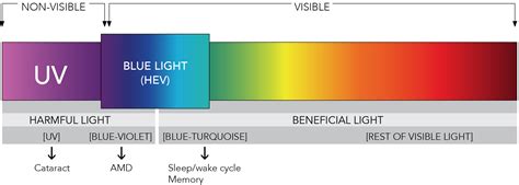 Blue Light Explained 的图像结果