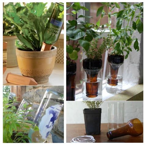 Diy Self Watering Garden