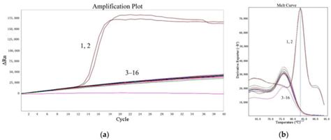 Development of a Ladder-Shape Melting Temperature Isothermal ...