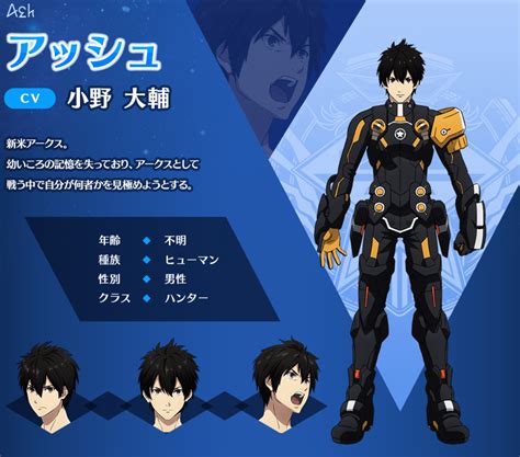 Image result for PSO2 Ash