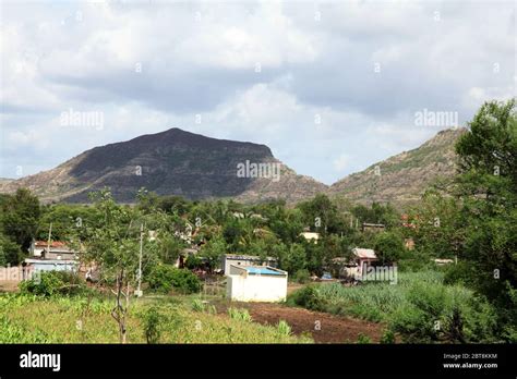 Village 的图像结果