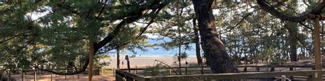 Shizuoka City Private Day Tour with Mt.Fuji Viewing and Ropeway - Klook ...
