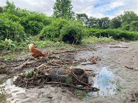 Flooded Mass. rivers usually help farmers; this week they wrought ...