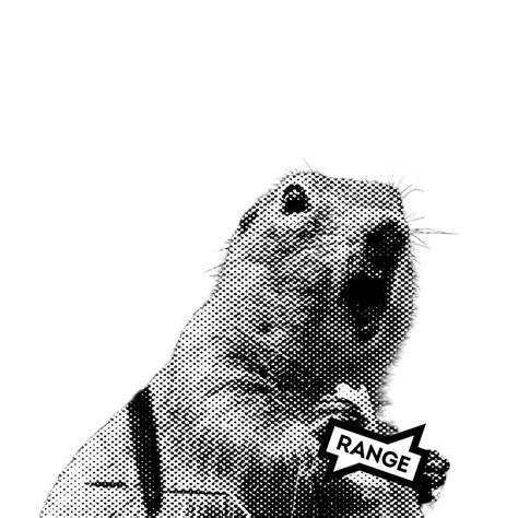 How Spokane OnlyFans creators use the app as an economic tool – RANGE Media