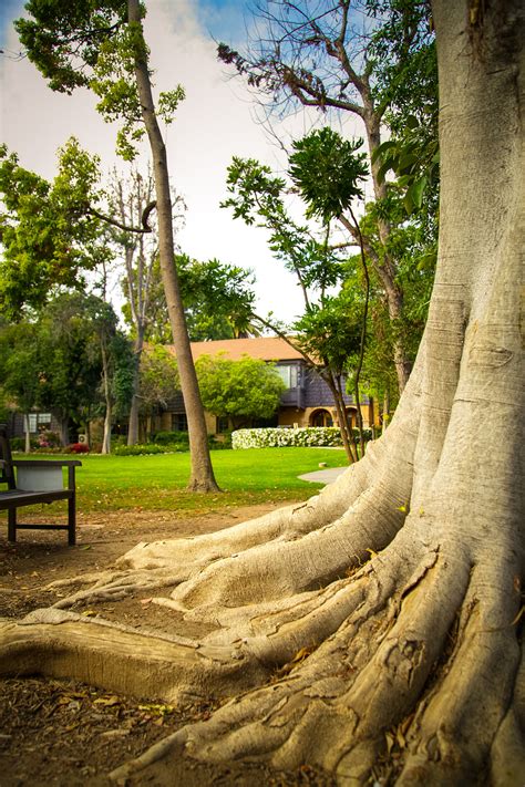 Signature Healthcare Services | Las Encinas Hospital