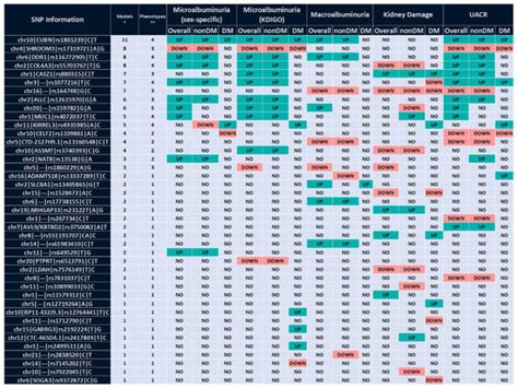 Albuminuria-Related Genetic Biomarkers: Replication and Predictive ...