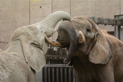 Free Stock Images Education 的图像结果