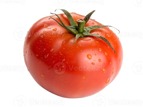 Fresh red tomato with droplets of water on surface 58025980 PNG