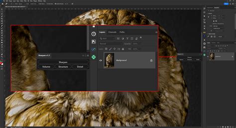 Image result for Tutorial for Sharpen Projects 2