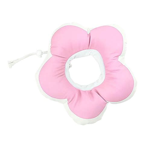 Elizabethnew Book 2022 Elizabethbooks Elizabethbible Study Books ...