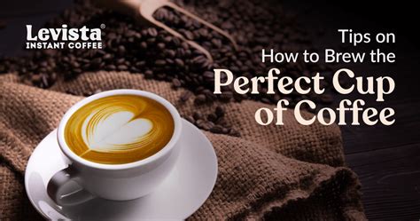 5 Tips on How to Brew the Perfect Cup of Coffee | Levista Coffee
