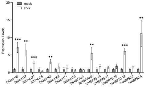 Global Screening and Functional Identification of Major HSPs Involved ...