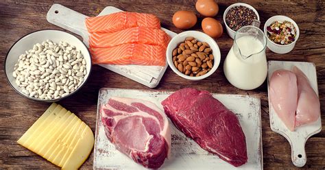 Las proteínas y su papel en la reparación muscular