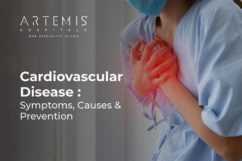 Cardiovascular Disease Symptoms Causes Treatment Prevention
