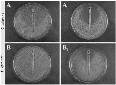 Molecules | July 2014 - Browse Articles