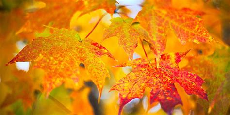 Image result for Behavior Change Process Model