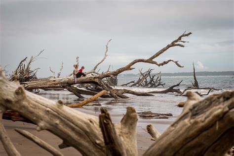 Visit Little Talbot Island State Park: Best of Little Talbot Island ...