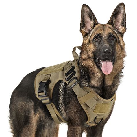 Best Giant Breed Dog Harnesses of [currentyear] | DogResources