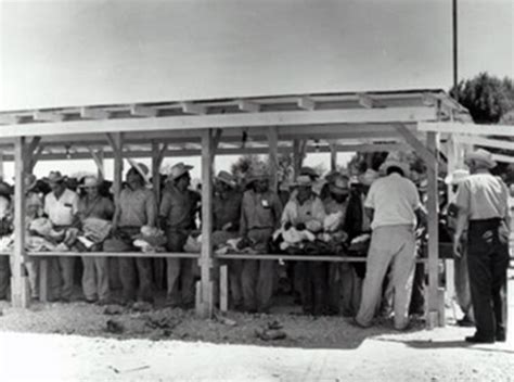 Alien Laborer 的图像结果