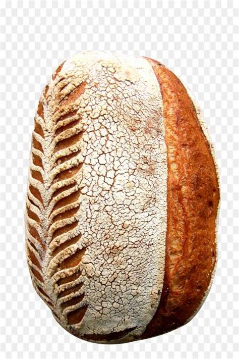 Wheat Bread PNG Clipart 1GCAKQNE - Pngsource