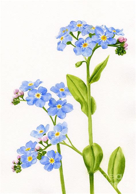 Aquarell Tutorial Wald 的图像结果