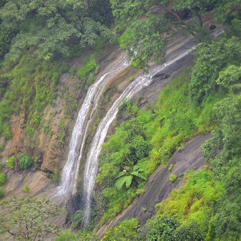 GAUTALA AUTRAMGHAT SANCTUARY (2026) All You Need to Know BEFORE You Go ...