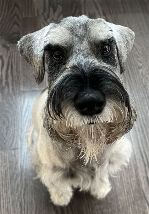 FREDON ANIMAL HOSPITAL - Fredon NJ - Hours, Directions, Reviews ...