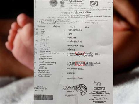 AMC's birth-death registration department describe pakistan in address ...