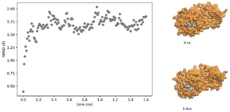 SARS-CoV-2 Main Protease Active Site Ligands in the Human Metabolome
