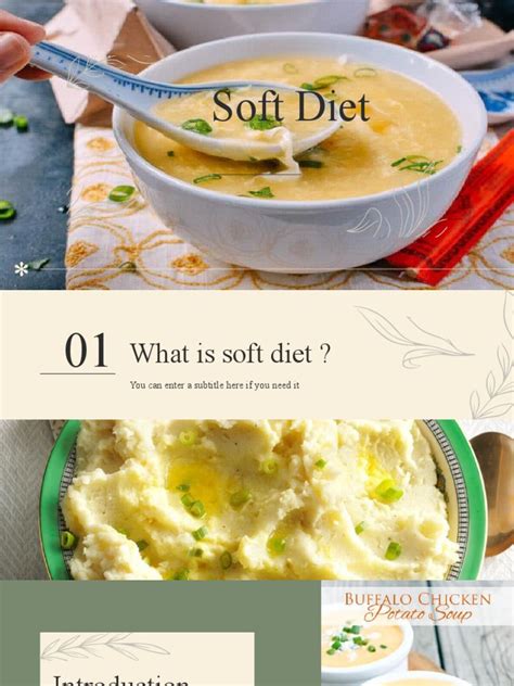 Soft Diet | PDF