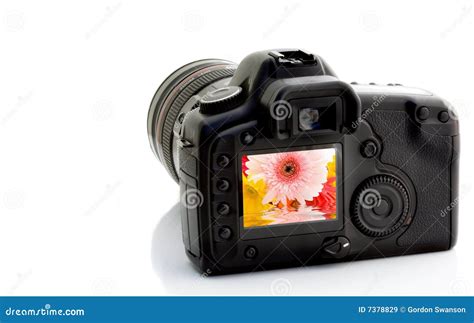 Digital SLR User 的图像结果