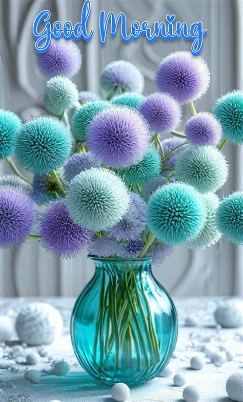 Special Beautiful Good Morning Images | latestsms.in