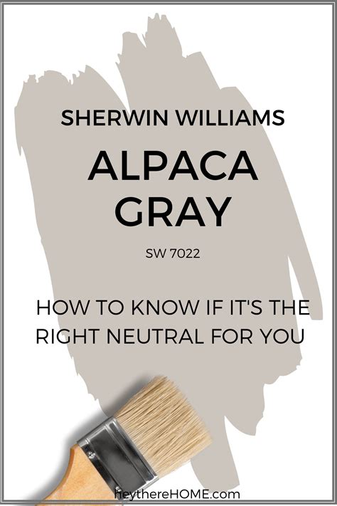 Is Sherwin Williams Alpaca The Perfect Warm Neutral?