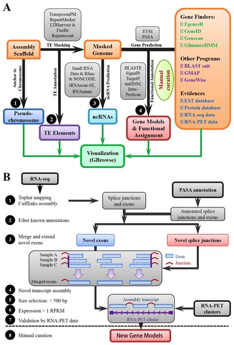 Genomic Data Science and Ml Tutorials 的图像结果