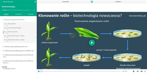 Technologia 的图像结果