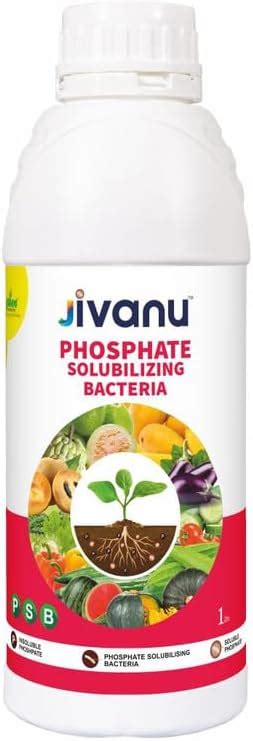 Jivanu PSB (Phosphate Solubilizing Bacteria – PSB) Liquid (1L) Bio ...