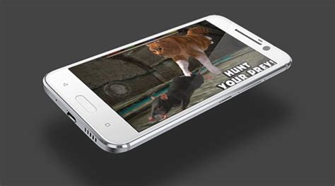 Image result for Ultimate Cat Simulator Tips