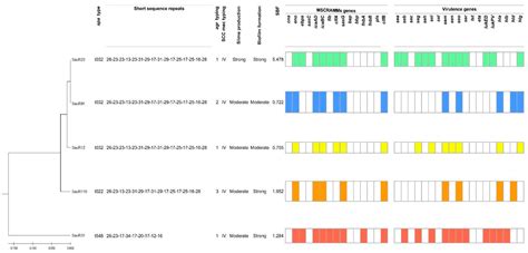 Multidrug-Resistant Methicillin-Resistant Staphylococcus aureus ...