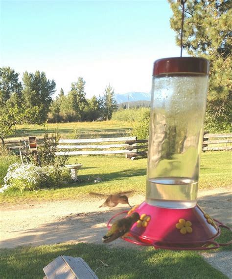 THE CABINS AT DEER CROSSING (Hamilton) - B&B Reviews & Photos - Tripadvisor