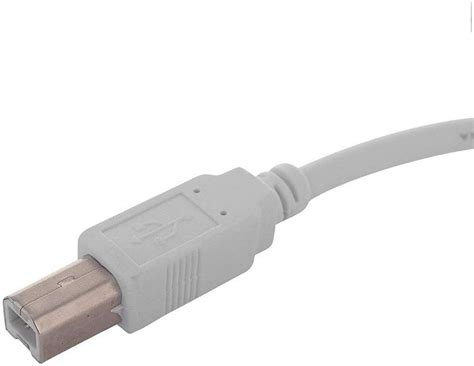 TERABYTE Terabyte 2.0 USB Printer Cable Printer for HP, Canon, USB Male ...