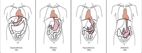 Image result for Statistical Analysis Paper Example