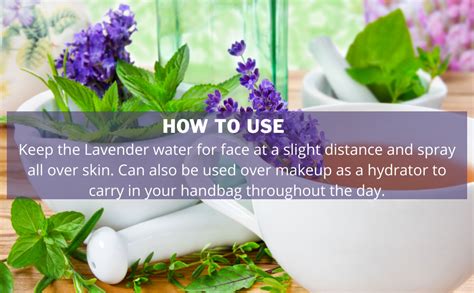 Urvija Lavender Mint Facial Spray Toner for Soft and Glowing Skin ...