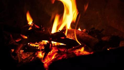 Image result for Long Log Fire