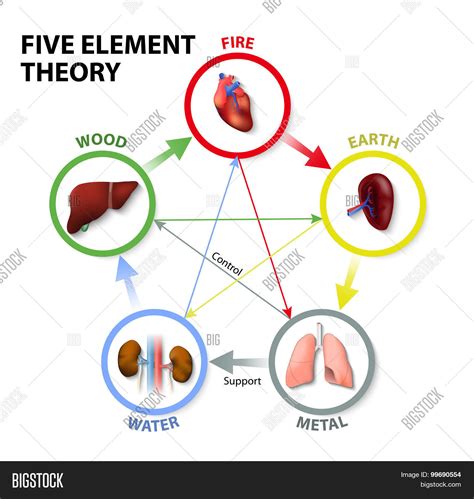 Five Element Explained 的图像结果