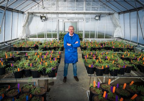 Image result for Lab-Grown Process